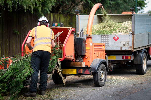 Best Storm Damage Tree Cleanup  in Una, WA