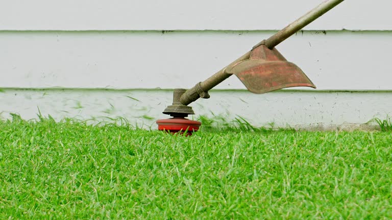 Best Grass Overseeding  in Una, WA