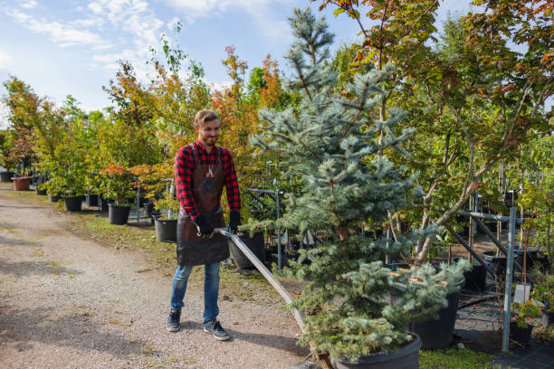  Una, WA Tree Services Pros