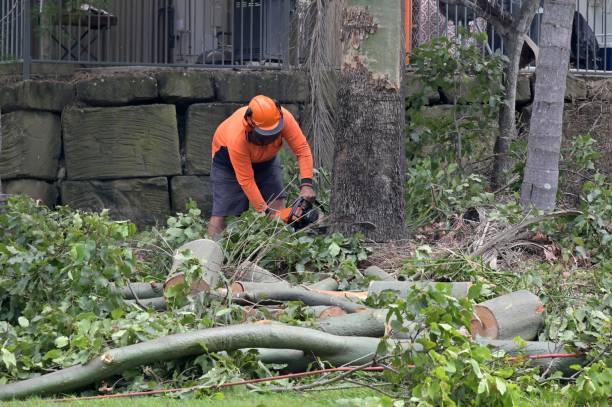 Best Emergency Tree Removal  in Una, WA