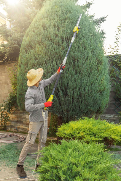 Best Lawn Dethatching  in Una, WA