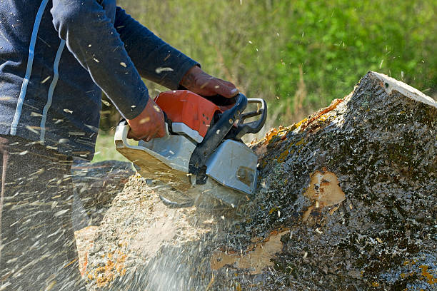 Best Hazardous Tree Removal  in Una, WA